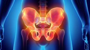 fisioterapia pélvica